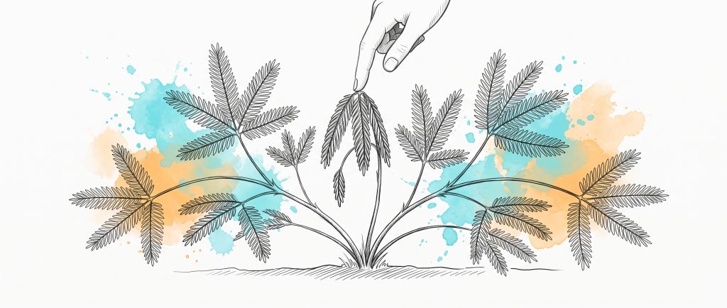 Ink illustration of a sensitive plant with many open fronds, one frond folded shut where a fingertip touches it, with cyan and apricot watercolour splashes