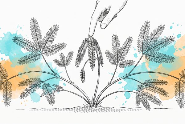 Ink illustration of a sensitive plant with many open fronds, one frond folded shut where a fingertip touches it, with cyan and apricot watercolour splashes