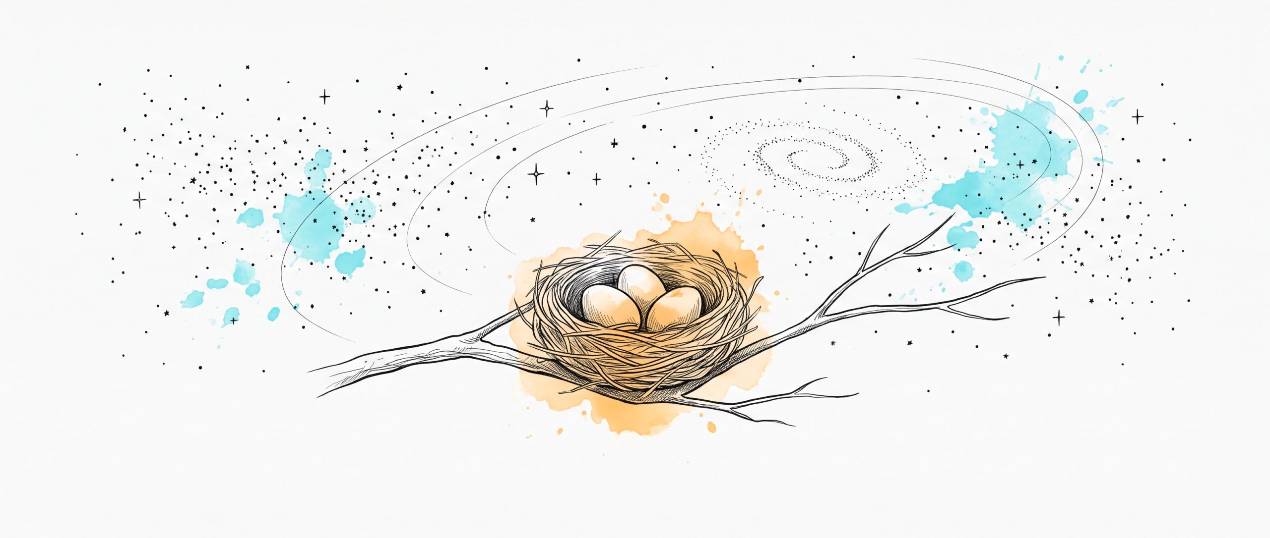 Hand-drawn ink illustration of a small bird nest with three eggs cradled in a branch, glowing warm apricot, beneath a vast field of ink stars, orbital arcs and a distant spiral galaxy with cyan watercolour splashes