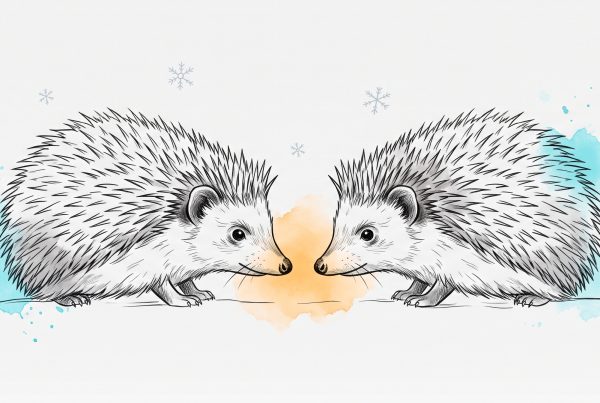 Ink and watercolour illustration of two hedgehogs face to face on a winter night, spines raised, a warm glow between them: wanting closeness and fearing it